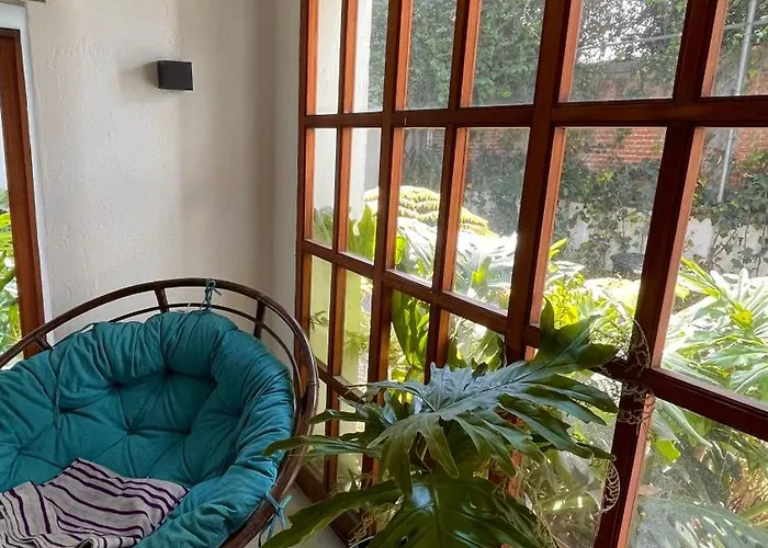 Quinta Leal Daniela Homestay Mexico City