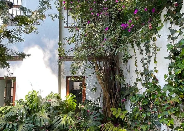 Quinta Leal Daniela Homestay Mexico City