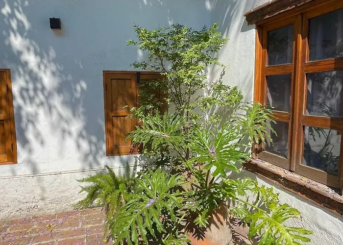 Quinta Leal Daniela Homestay Mexico City